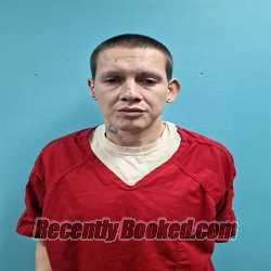 Recent Mugshot Image for MICHAEL TAYLOR ADCOCK in Roane County, Tennessee