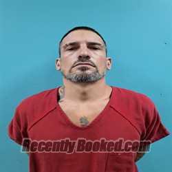 Recent Mugshot Image for DEREK ALAN ELY in Roane County, Tennessee