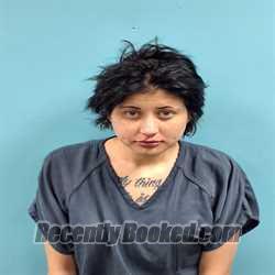 Recent Mugshot Image for GABRIELLE JOELY MCDONALD in Roane County, Tennessee