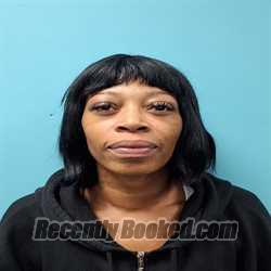 Recent Mugshot Image for LYNNETTA CHARRISSE MCKELL in Roane County, Tennessee