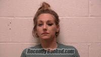 Recent Mugshot Image for Heather Cherise Brock in Robertson County, Tennessee