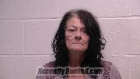 Recent Mugshot Image for Cynthia Ann Fleshman in Robertson County, Tennessee