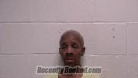 Recent Mugshot Image for Wilma Paulette Murphy in Robertson County, Tennessee