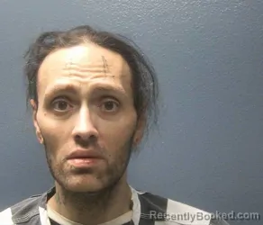Recent Mugshot Image for CHRISTOPHER MICHAEL FREELS in Sevier County, Tennessee