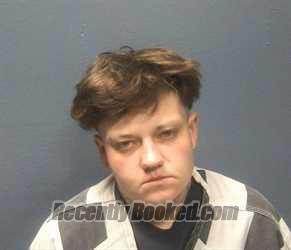 Recent Mugshot Image for KATIE ANN GIVENS in Sevier County, Tennessee