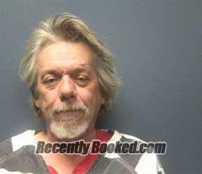 Recent Mugshot Image for PAUL JEFFREY METLER in Sevier County, Tennessee