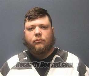 Recent Mugshot Image for NICHOLAS TOLBERT in Sevier County, Tennessee