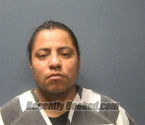 Recent Mugshot Image for TOBIAH SAGE BEN in Sevier County, Tennessee