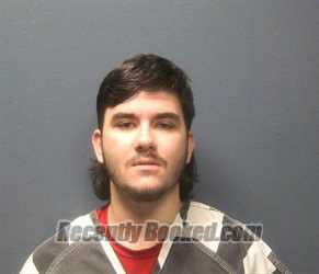 Recent Mugshot Image for NIKKOLAI D THOMAS in Sevier County, Tennessee