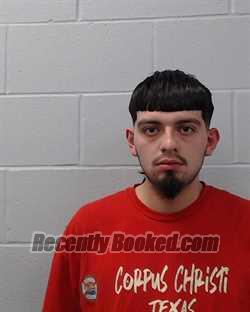 Recent Mugshot Image for Frank Anthony Williams in Hays County, Texas