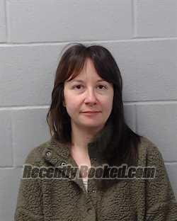 Recent Mugshot Image for Erin Melissa Bustos in Hays County, Texas