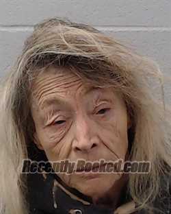 Recent Mugshot Image for Lynn M Tewksbury in Hays County, Texas