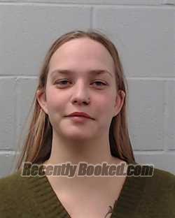 Recent Mugshot Image for Delaney Paige Croy in Hays County, Texas