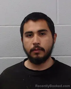 Recent Mugshot Image for Alexiz Armando Salazar-Tinoco in Hays County, Texas