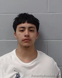 Recent Mugshot Image for Jonathan Rene Salas in Hays County, Texas