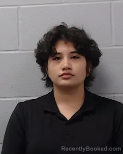 Recent Mugshot Image for Deleslyn Lightbey Gomez in Hays County, Texas