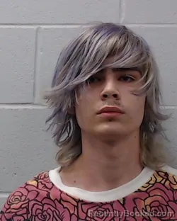 Recent Mugshot Image for Pierce James Sullivan in Hays County, Texas