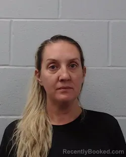 Recent Mugshot Image for Kristen Louise Anderson in Hays County, Texas