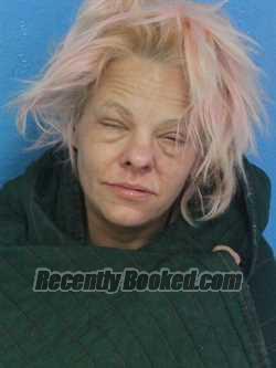 Recent Mugshot Image for CHERICA DAWN LEE in Sullivan County, Tennessee