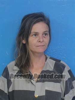 Recent Mugshot Image for MISTY ARLENE TRENT in Sullivan County, Tennessee