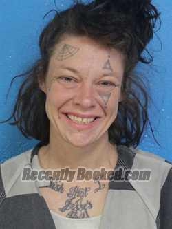 Recent Mugshot Image for BETHANY RENEE TIPTON in Sullivan County, Tennessee