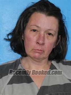 Recent Mugshot Image for TONYA REBECCA HAWKINS in Sullivan County, Tennessee
