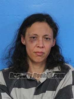 Recent Booking / Mugshot for TINA MARIE GONZALEZ in Sullivan County