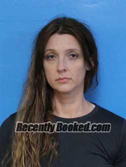 Recent Mugshot Image for MELISSA ANN DOLEN PENN in Sullivan County, Tennessee