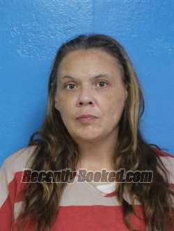 Recent Booking / Mugshot for AMY MICHELLE JONES in Sullivan County ...