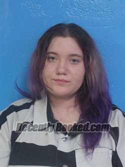 Recent Mugshot Image for EMMA LEE BURNETT in Sullivan County, Tennessee