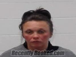 Recent Mugshot Image for JOHNNA LEIGH WILLIS in Wayne County, Tennessee