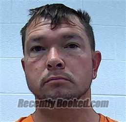 Recent Mugshot Image for ERNEST TJ LYNN in Wayne County, Tennessee