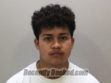 Recent Mugshot Image for CARLOS A NAJAR-CACERES in Wilson County, Tennessee