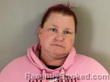 Recent Mugshot Image for CRYSTAL A TINCH in Wilson County, Tennessee