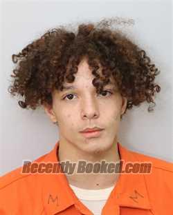 Recent Mugshot Image for ANTHONY LEE BROWN in Virginia Beach County, Virginia