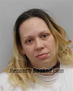 Recent Mugshot Image for SHAUNA JUNE VIDAL in Virginia Beach County, Virginia