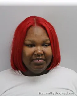 Recent Mugshot Image for LASHAI ALIZE JOHNSON in Virginia Beach County, Virginia
