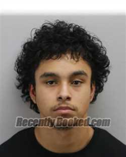 Recent Mugshot Image for ANTHONY JOEL RODOLIS in Virginia Beach County, Virginia