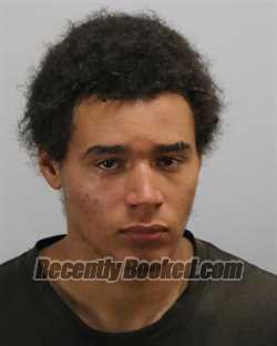 Recent Mugshot Image for DYLAN BRYCE WOLFE in Virginia Beach County, Virginia