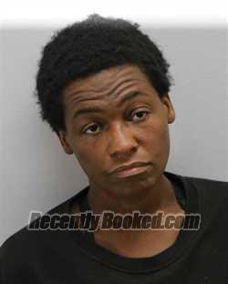 Recent Mugshot Image for LINDA RENE WILLIAMS in Virginia Beach County, Virginia