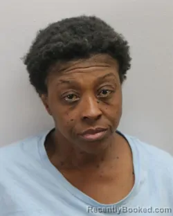 Recent Mugshot Image for SHANDA SHANEL ROBINSON in Virginia Beach County, Virginia