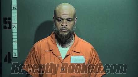 Recent Mugshot Image for LEWY STEPHENS in Suffolk County, Virginia