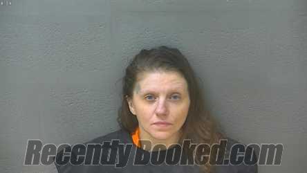 Recent Mugshot Image for AARON MICHELLE SAYERS in Lynchburg County, Virginia