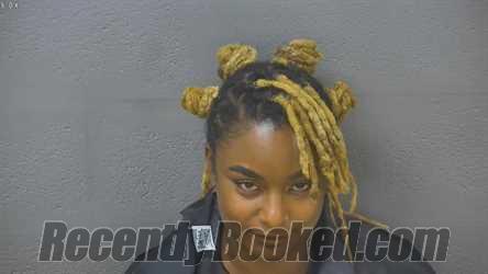 Recent Booking / Mugshot for BRITTANY ARLENE RUCKER in Lynchburg County ...