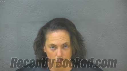 Recent Booking / Mugshot for DANIELLE NICOLE NICKERSON in Lynchburg