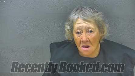 Recent Booking / Mugshot for MARY ANN ARNOLD in Lynchburg County, Virginia