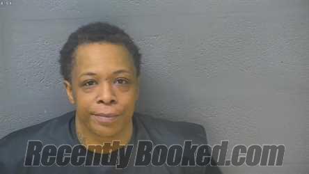 Recent Mugshot Image for NATASHA RENEE GRAY in Lynchburg County, Virginia