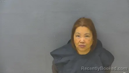 Recent Mugshot Image for NINA NOWLIN in Lynchburg County, Virginia