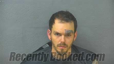 Recent Mugshot Image for ROBERT DAVID BROWN in Lynchburg County, Virginia