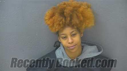 Recent Mugshot Image for SEIRRIA LASHAI DAVIS in Lynchburg County, Virginia